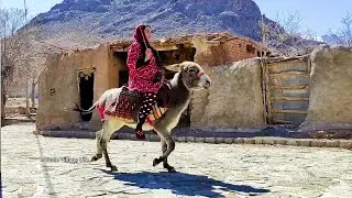 Ramadan In Village: Hidden Beauties Of Village Life