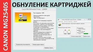 ОБНУЛЕНИЕ КАРТРИДЖЕЙ CANON MG2540S