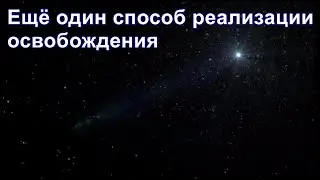 Из ниоткуда в никогда. Часть 23. Ещё один способ реализации освобождения. Дмитрий Гаун.
