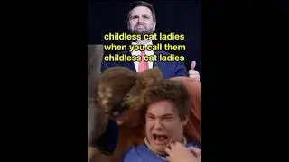 childless cat ladies when you call them childless cat ladies