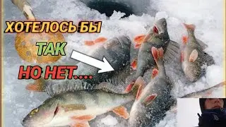 ДОЛГОЖДАННАЯ РЫБАЛОЧКА. Красота зима, мороз и самое главное рыбалка!