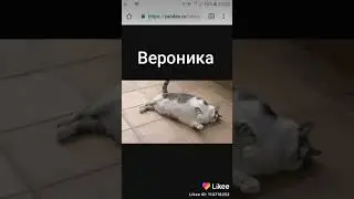 9 августа 2019 г.