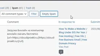 How to Delete All Spam Comments at Once on WordPress website