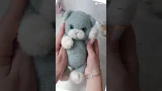 Ещё один котёнок из Астра Киви