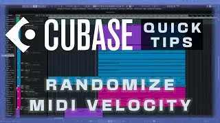 How To Randomize Midi Note Velocity in Cubase 12 (Humanize Midi Notes w/ Logical Editor)