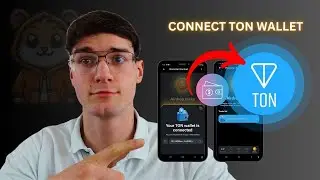 How To Connect TON Wallet To Hamster Kombat Account 2024
