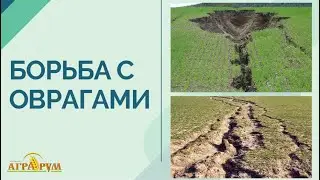 Борьба с оврагами в Матвеево-Курганском районе в ООО 