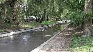 КРЫМ ЗАЛИВАЕТ. Дожди. Вода в Крыму. Парк Гагарина. Салгир