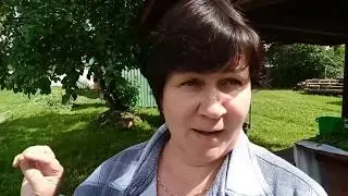 В хозяйстве ПОТЕРИ, индейки не вернулись/Огурцы не задались/Сушу Иван- чай!