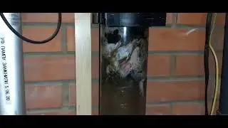 Работа скиммера AquaForte Sieve