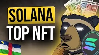 Crypto News: Okay Bears Solana TOP NFT Project Breaking Records, and Bitcoin Being Legal Tender