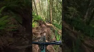 Steep lines = good times!