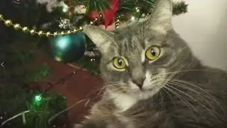 Прикол! Анекдот 