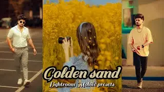 Golden sand preset - Golden hour preset / sand yellow preset/ new golden sand preset/Moody preset