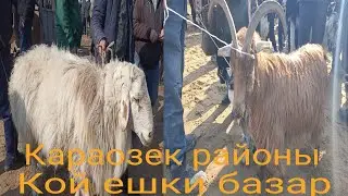 Qaraozek qoy eshki  bazar 23.02.2022. Караозек кой ешки базар/Скотный рынок Манас/ Шымкент мал базар