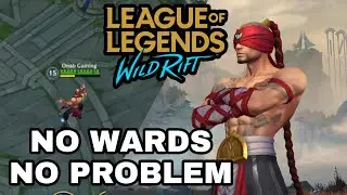 LEE SIN is on the WILD RIFT