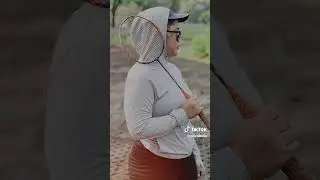 Hijab bemper gede