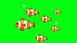 Fish || Green Screen || No Copyright Video