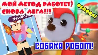 БЕСПЛАТНО! Робот Собака! Работающий метод выпадения ЛЕГЕНДАКИ в Адопт Ми