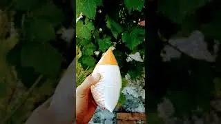 💥РЯЖЕНКУ РАЗНЕСЛО💥