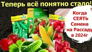 ТАК ПРОСТО!  Когда сеять семена на рассаду Томат, Огурец, Перец