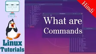 What are Commands - Linux Commands - 05 Linux Fundamental Course  [ Hindi ]