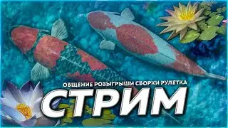 🔥КАРПЫ КОИ ⭐ ИЩЕМ КЛЁВ ИГРАЕМ ТУРНИР 🎁 Розыгрыши & Рулетка 🏆 СТРИМ РР4