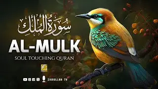 Surah Al Mulk سورة الملك | This SOFT Voice Will TOUCH Your HEART إن شاء الله | Zikrullah TV