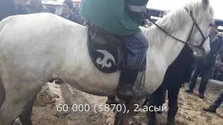 Озгон мал базары, чабат аттар 19.02.18. Скотный рынок, Узген  лошади