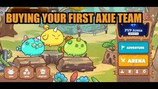 Buying Your First Axie Team!