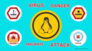 Auto-Color Linux Malware 2025: Stealth Backdoor Targeting Governments & Universities