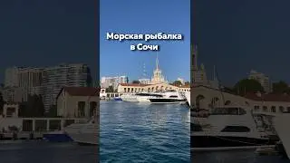 Морская рыбалка в Сочи на закате 