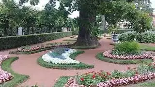 2019.Петергоф. Музыка.