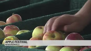 Farmers' outlook on this year's apple harvest season