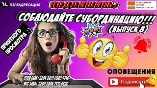 Соблюдайте субординацию! 