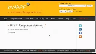 HTTP Response Splitting