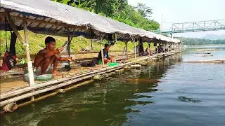 strek ikan nila merah lgi ngamuk 