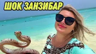 БЮДЖЕТНО ЗАНЗИБАР НУНГВИ/ ОСТОРОЖНО!!!!!!