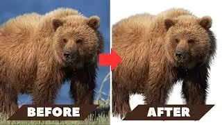 How To Remove Background Canva Tutorial | Making Images Transparent In Canva