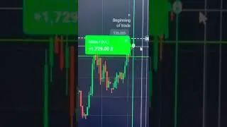 CAN YOU MAKE PROFITS WITH THE MACD INDICATOR?