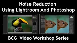 Video Workshop Info: Noise Reduction With Lightroom And Photoshop