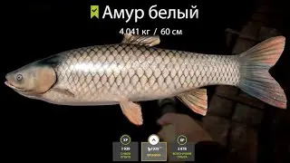 ПОЙМАЛ РЫБУ АМУР НА 4 КГ НА ТВОРОЖНОЕ ТЕСТО! Оз.CТАРЫЙ ОСТРОГ В РУССКОЙ РЫБАЛКЕ