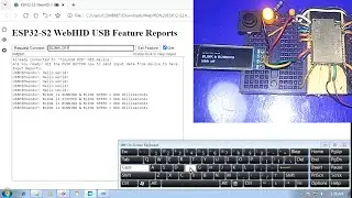 WebHID API HTML Javascript Browser Based Arduino ESP32 USB HID Vendor Feature Reports