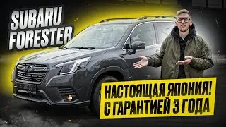 SUBARU FORESTER 2024 - обзор. Стоит ли его брать в 2025 году? Lineartronic CVT и Symmetrical AWD
