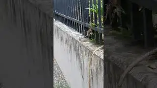#shorts #familyvlog #australia #brisbane #spidersense 🇬🇸