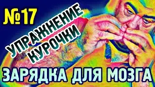 №17 