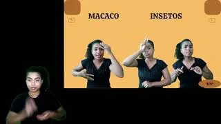 MACACO