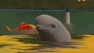 Zoo Tycoon 2: Marine Mania Campaign - Marine Animals - The Marine Diversity Zoo