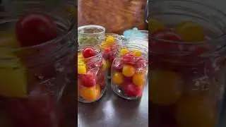 В этом году не совершу такую ошибку! Пожалела что в том году мало закрыла этих ПОМИДОРОВ с мёдом 🍅