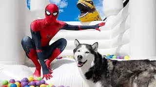 T-Rex Steals Puppy From Spiderman!